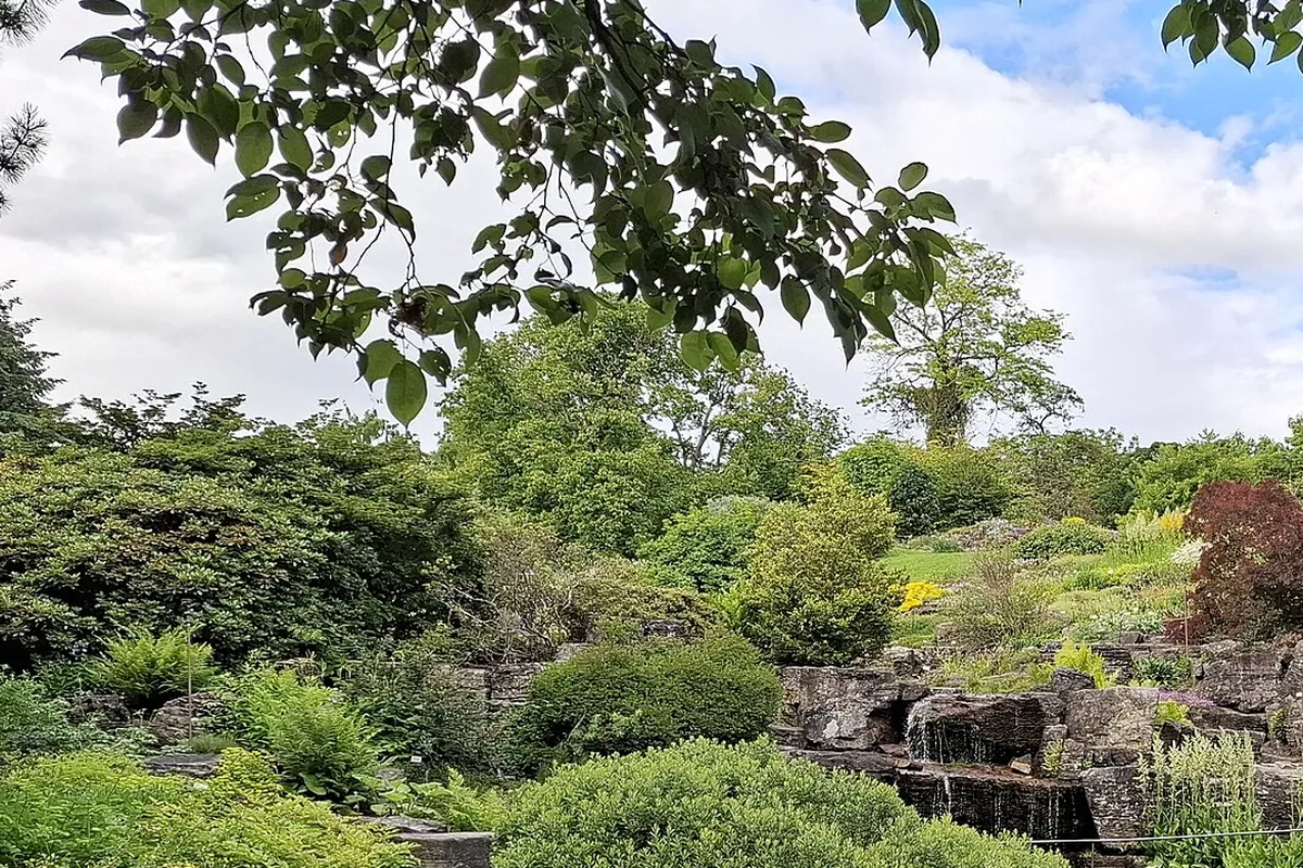 The rock garden in the botanical garden at T&oslash;yen in early summer, with flowering shrubs, a pond and old trees behind.